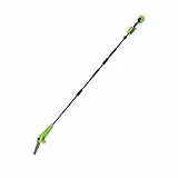 Greenworks Élagueuse sur perche sans fil 24 V 20 cm, longue portée de 2,68 m pour l'élagage des arbres, tronçonneuse électrique avec lubrification automatique, vitesse de chaîne de 6,7 m/s, outil seul