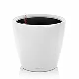 Lechuza – Pot de Fleurs d'Interieur – Premium Classico Ls – Réserve d'Eau Intégrée – Coloris Blanc – Ø 21 X 20 cm