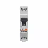DEBFLEX - Disjoncteur 10A Phase + Neutre 3KA - Module Coupe-Circuit - Certifié NF - Installation dans Tableau Electrique - Gris