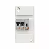 DEBFLEX - Coffret Chauffe-Eau - Tableau Electrique 1 rangée/4 Modules - 1 Contacteur Jour/Nuit Chauffe-Eau + 1 Disjoncteur 2A + 1 Disjoncteur 20A - Pose en Saillie