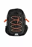 THE NORTH FACE NF00CF9CAOZ BOREALIS CLASSIC Sports backpack Homme Asphalt Grey/Retro Oran Taille OS