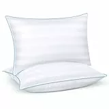 TESQ Oreillers Lot de 2 en Microfibre - Confort Ultra Doux et Respirant, Oreillers Lavables en Machine, Améliorent Le Sommeil, Idéaux pour Dormeurs Latéraux, sur Le Dos et l'abdomen (50x70cm)