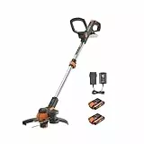 WORX WG163E Débroussailleuse sans fil 18 V (20 V max) avec alimentation de commande et 2 batteries Noir