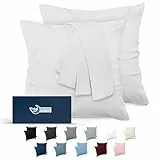 Dreamzie Taie Oreiller 65x65 Lot de 2 en Microfibre Certifiée Oeko-Tex - Housse Coussin Douce Et Brossée, Toucher Peau de Pêche - Blanc