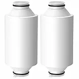 Lot de 2 cartouches filtrantes de douche compatibles avec Philips Water - Filtre de douche AWP175 - Compatible avec Philips AWP1775WH / AWP1775CH