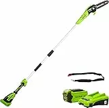 Greenworks G40PSFK2 Élagueuse sur Perche, Longueur des barres 8 Pouces (20cm), Vitesse 8 m/s, 3,64 kg, Graisseur Automatique, Portée 2.58 m, Batterie 40V 2Ah, Chargeur, Garantie 3 Ans