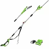 Greenworks G24PSHK2 Élagueuse et 51 cm Taille Haie à Batterie sur Perche 2 en 1 avec Bandoulière, Tronçonneuse 20 cm, Lames Double Action, Batterie 24V 2Ah et Chargeur, Garantie 3 Ans