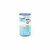 Intex - Piscine Cartouche - Filtre De Remplacement De La Pompe pour Piscine 59900