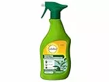 SOLABIOL Insectes Plantes D'Intérieures - Pulvérisateur - 500ml - Prêt A L'Emploi - Action Choc - Agit Par Contact - Efficace Sur Pucerons Cochenilles & Acariens SOPVPAL500
