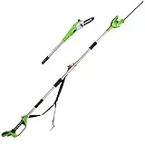 Greenworks G24PSH Élagueuse et Taille Haie à Batterie sur Perche 2-en-1 avec Bandoulière, Guide Tronçonneuse 20 cm, Taille-Haie 51cm, Lames Double Action SANS batterie 24V ni Chargeur, Garantie 3 Ans