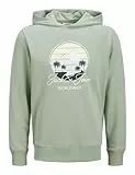 JACK & JONES Hood Jjpalm Sweat à Capuche, Iceberg Green, S Homme