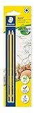Staedtler Noris 120, Crayons à papier 2H en bois de haute qualité, Étui blister de 2 crayons 2H, 120-4 BK2D