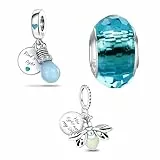HappyStar Charme Argent Sterling 925 Femmes Perles Charm,Compatible PourPandora & Européen les bracelets et les colliers Charms de combinaison, cadeau pour les sœurs et les amoureux