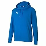 PUMA Teamgoal 23 Causals Hoody Pull Homme, Electric Bleu Lemonade, XL