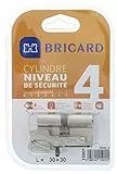 Bricard 15901 Cylindre Trial S 30+30 Nickelé double entrée/niveau de sécurité 4