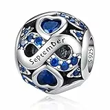 LNQOBU Charmes de Naissance pour Bracelets Charms de Perles en Argent Sterling 925 charmes de pour Bracelets et Colliers