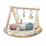 Ingenuity Wonder & Wood Tapis de Jeu Bébé avec Arche en Bois – Barre Pliable en A avec 3 Jouets Amovibles, Lavable en Machine, Unisexe, 0–36 Mois