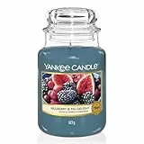 Yankee Candle bougie parfumée Figues et mûres gourmandes | Format jarre | Bougie longue durée jusqu’à 150 heures de combustion | Cadeaux pour femmes
