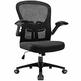 Durrafy Chaise de Bureau Ergonomique avec Appuie-tête Réglable, Chaise Pivotante avec Accoudoirs Rabattables, Support Lombaire, Fauteuil de Bureau en Maille, avec Une Capacité de Charge de 102 kg