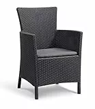 Keter Allibert by Iowa Fauteuil de Jardin avec Coussin d'assise en Plastique, Aspect rotin Plat, résistant aux intempéries, aux UV, certifié TÜV jusqu'à 110 kg