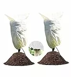 LINSOCLE Lot de 2 Voile Hivernage Plante Exterieur 100 x 80cm, Housse Protection Plantes en Pot Contre Le Froid et Le Gel, 60g/m² Bâche pour Olivier Palmier Citronnier Arbustes