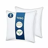 TESQ Oreiller 60x60 cm Lot de 2, Qualité Hôtelière de Luxe Oreiller Lot de 2 Oreillers Confort Moelleux, Respirant et Hypoallergénique Certifié Oeko-TEX, Adapté à Toutes Les Positions de Sommeil