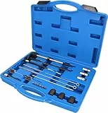 BRILLIANT TOOLS BT551300 Kit de nettoyage pour logement et gaine d’injecteur, 21 pcs [Powered by KS TOOLS]