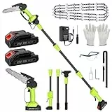Élagueuse sur Perche Sans Fil et Mini Tronconneuse a Batterie 2 en 1 Tronconneuse Electrique 6 Pouces avec 2 Batteries, 4 Chaînes, Gant, Lunettes, Bandoulière, pour Jardin, Branches, Bois