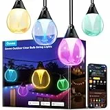 Govee Guirlande Lumineuse d'Extérieur, 15m RGBWIC à Intensité Variable, 16 Million de Couleurs et 111 Modes Scène, 80lm par LED, 25000h Durée de Vie, Compatible avec Alexa, Google Assistant, Matter