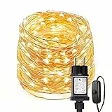 Lepro Guirlande Lumineuse 10M, 100 LED en Cuivre, Imperméable IP65, Lumière Etoilée, Blanc Chaud, pour Décoration Intérieure Extérieure, Jardin, Noël, Anniversaire, Mariage, Christmas