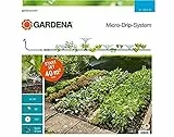 Gardena Kit d'arrosage goutte-à-goutte pour massifs et potagers : système d'arrosage Micro-Drip pour un arrosage individuel et flexible (13015-20)