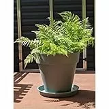 Riviera Pot de Fleurs Ø 60 cm Vert Clair