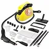 Waitbird Nettoyeur vapeur avec 21 accessoires, vapeur haute température 248°F, grand réservoir d’eau 1.1L, polyvalent. Idéal pour sols, canapés, vitres, cuisine, toilettes.