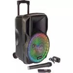 PARTY LIGHT & SOUND - PARTY-12RGB - Enceinte sur Batterie 12”/30cm de 700W avec 1 Micro VHF sans Fil et Effet Lumineux sur Le woofer - Bluetooth