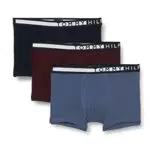 Tommy Hilfiger 3P Trunk Maillot, des Sky/Deep Burg/Fded Indi