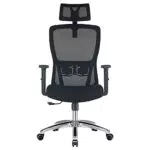 Durrafy Chaise Bureau Ergonomique, Chaise de Bureau avec Roullettes