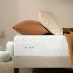 ZINUS Bliss Matelas mousse mémoire de forme, Matelas réglable composé de 7 zones