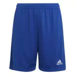 adidas Mixte enfant Ent22 Y Shorts, Royblu, 164 EU