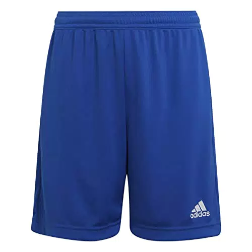 adidas Mixte enfant Ent22 Y Shorts, Royblu, 164 EU