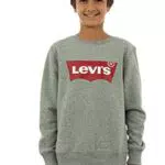 Levi's Kids Lvb-Batwing Crewneck Sweatshirt Garçon Grey Heather 14 Ans