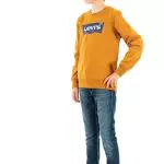 Levi'S Kids Batwing Crewneck Garçon Cathay Spice 8 Ans