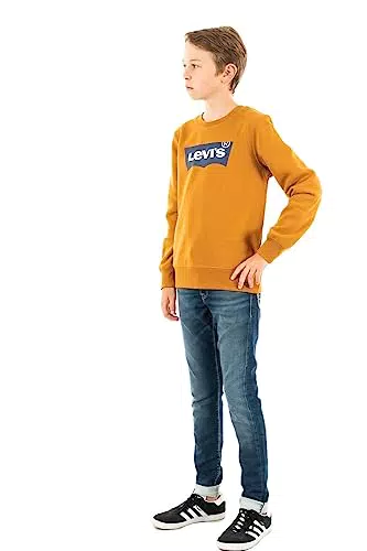 Levi'S Kids Batwing Crewneck Garçon Cathay Spice 8 Ans