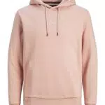 JACK & JONES Jprbluarchie Sweat à Capuche Noos Sweatshirt