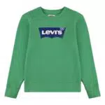 Levi's Lvb Batwing Crewneck Garçon, Vert Vif, 10 Ans
