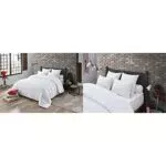 Dodo Couette Niagara Anti-ACARIENS TEMPÉRÉE & Oreiller MAXICONFORT Thermolite Ultra - Moelleux - 60 x 60 cm