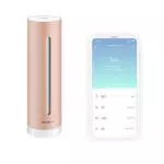 Capteur de Qualité de l'Air Intérieur Connecté Netatmo - Température, Humidité, Bruit, CO2