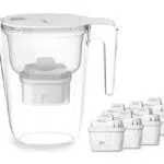 Philips Wasserfilterkanne +6 Micro X-Clean Ersatzfilterkartuschen