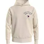 Sweat à capuche Tommy Hilfiger Arched Varsity Homme