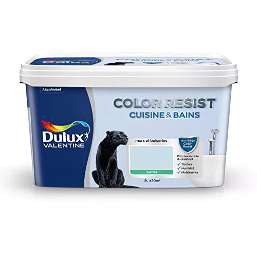 Peinture Intérieure Dulux Valentine Color Resist pour Pièces Humides