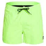 Short de bain Quiksilver™ Everyday 15 pour Homme - Style Vert Classique